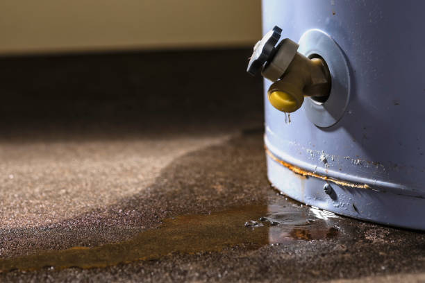 Best Local water damage restoration  in Captains Cove, VA