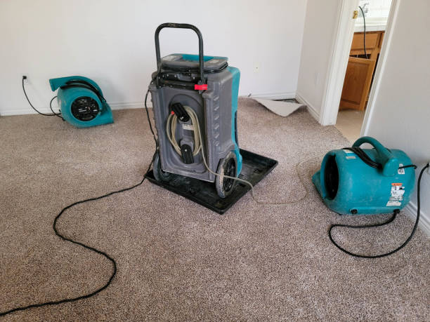 Best Fire Damage Restoration  in Captains Cove, VA