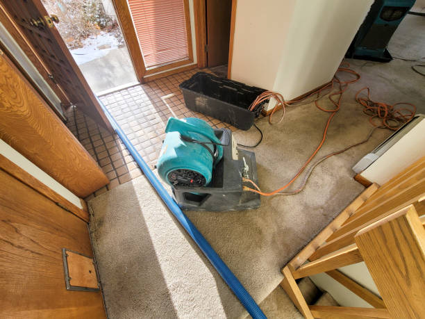 Best Water damage restoration cost  in Captains Cove, VA