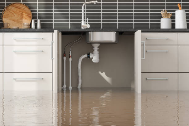Best Sewage cleanup and water damage restoration  in Captains Cove, VA